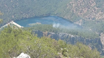 Mersin ve Muğla'da orman yangınları