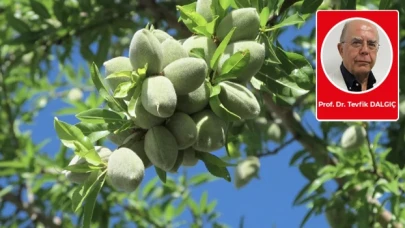 Prof. Dr. Tevfik Dalgıç: Addison’da yedim taze çağlayı…