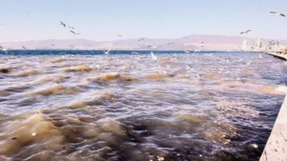 İzmir’de kötü koku alarmı!