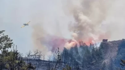 Marmaris'te orman yangını: Datça-Marmaris karayolu trafiğe kapatıldı
