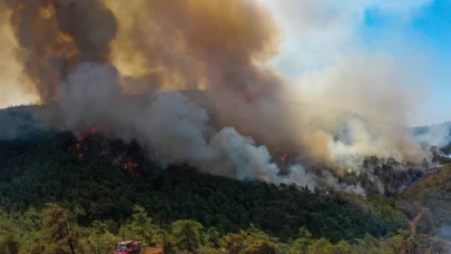 Marmaris'teki orman yangınını çıkaran kişi tutuklandı