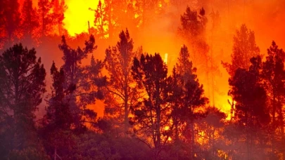 Marmaris'teki orman yangınıyla ilgili soruşturma başlatıldı