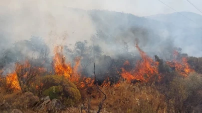 Muğla Dalaman'da orman yangını