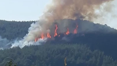Burdur’da orman yangını