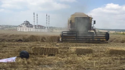 Bursa Nilüfer’de buğday tarla günü düzenlendi