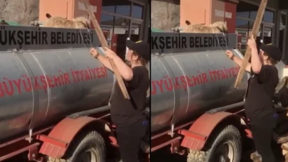 Bursa’da hayvana şiddet: Köpeği bağladı, çivili sopa ile dövdü!