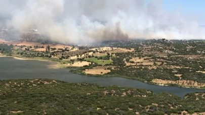 Çanakkale'de orman yangını: Bölgede şiddetli rüzgar etkili