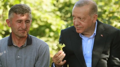 Fındık alım fiyatı açıklandı!