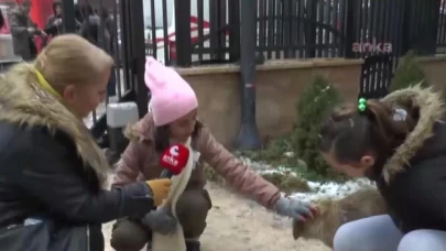 Gazeteci Mehtap Belen yaşamını yitirdi