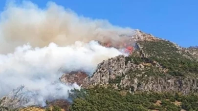 Hatay’daki orman yangını kontrol altına alındı