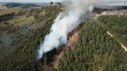 İstanbul Beykoz'daki orman yangını söndürüldü