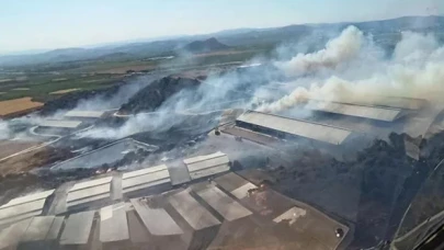 İzmir Bergama'da makilik yangını çıktı