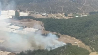 İzmir’deki orman yangını kontrol altına alındı