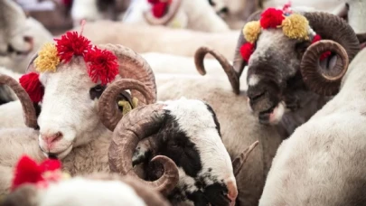 Kurban eti uyarısı; hemen tüketmeyin, öğle yemeklerinde yiyin
