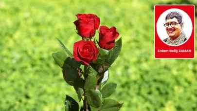 Lağımda gül yetiştirmek