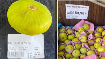 Sinan Oğan: Dünyada en çok incir üreten ülkesi Türkiye’de incirin tanesi 13 lira, şok geçirdim