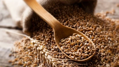 Tahıl koridoru: İstanbul'daki Ortak Koordinasyon Merkezi faaliyete geçti