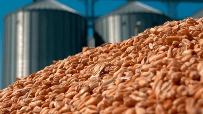 Tahıl krizi zirvesi İstanbul’da olacak