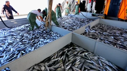 Balıkçılıkta av sezonu başlıyor