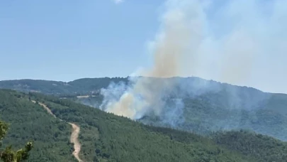 Çanakkale’de çıkan orman yangını kontrol altına alındı