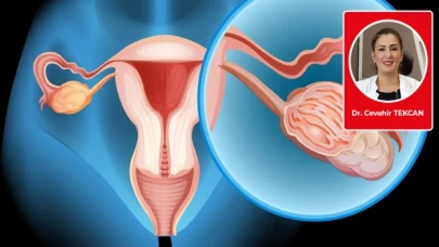 Düşük yumurtalık rezervi menopozun göstergesi midir?