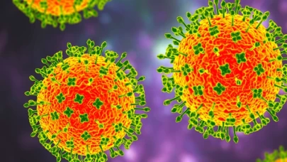 Langya virüsü nedir, nasıl bulaşır, virüsün belirtileri neler? Türkiye'de var mı?