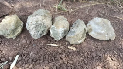 Yozgat'ta deniz fosilleri bulundu