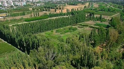 Atatürk Orman Çiftliği'nin arazi varlığı 382 dekar azaldı