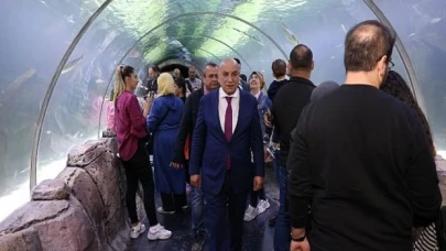 Deniz ve Okyanusa Heyecanlı Bakış