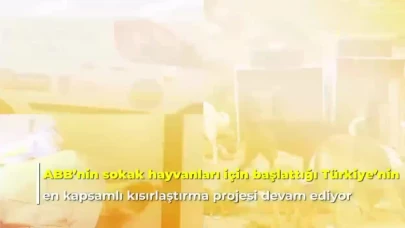 Mansur Yavaş: ‘’ 2 sene içerisinde sokak hayvanları popülasyonunu kontrol altına almayı hedefliyoruz”