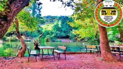 ‘Mesire alanları’ nı ‘orman parkları’ olarak değiştiren yönetmeliğin iptali için dava açıldı