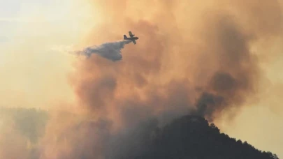 Muğla'daki orman yangını kontrol altına alındı