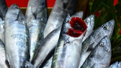 Palamudun tanesi 40 liradan satılıyor