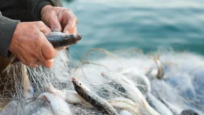 Türkiye’nin su ürünleri ihracatının zirvesinde Muğla ve İzmir var