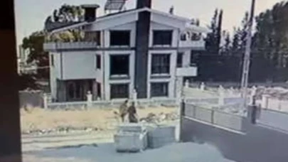 Yavru köpeği tüfekle katleden  şahıs ifadesi alındıktan sonra serbest bırakıldı