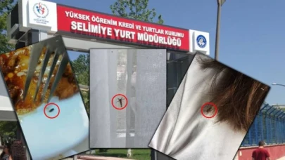 KYK yurdunda kalan öğrenciler: ‘’Sinekler, çekirgeler, böcekler; hatta bir arkadaşımızı yılan ısırdı’’