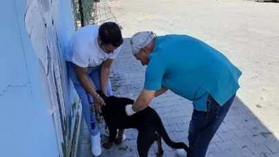 Mustafakemalpaşa Belediyesi’nden kuduz aşısı kampanyası