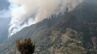 Osmaniye'deki orman yangını dördüncü günde kontrol altına alındı