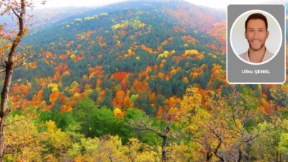 Utku Şenel yazdı: “Kaz” dağları
