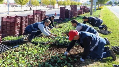 1 milyon 200 bin mevsimlik çiçek dikiliyor