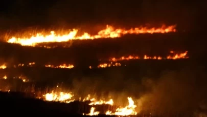Birçok kuş türüne ev sahipliği yapan sazlık 4 gündür yanıyor