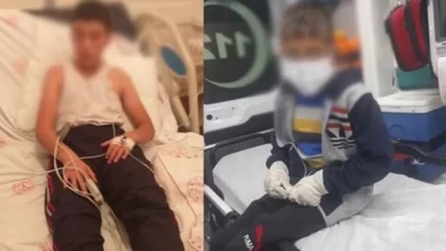 Bitlis'te köpeğin ısırdığı iki çocuktan biri kuduz oldu