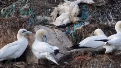 Bu seferki salgının endişe verici farkları neler?