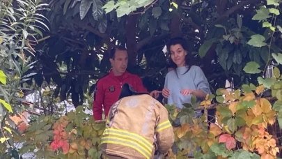 Kediyi kurtarmak isterken ağaçta mahsur kaldı