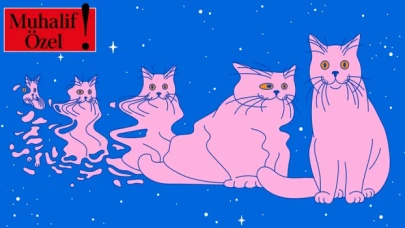 Schrödinger'in kedisi