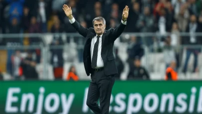 Şenol Güneş: 'Dayak' yedim, 'artistlik yaptı' dendi