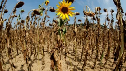 Trakya son yılların en kurak ekim ayını yaşadı