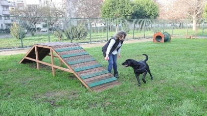Bayraklı’da evcil hayvanlar için 'Pati Park’