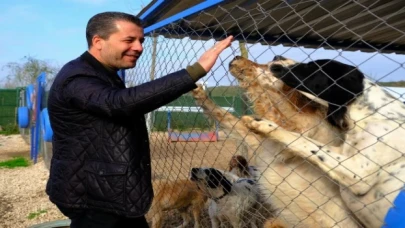 CHP’li Meclis Üyesi Şehitoğlu’ndan Bursalılara çağrı