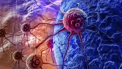 Prof. Dr. Karaca: 2030 yılına geldiğimizde kanser 4 kat artacak